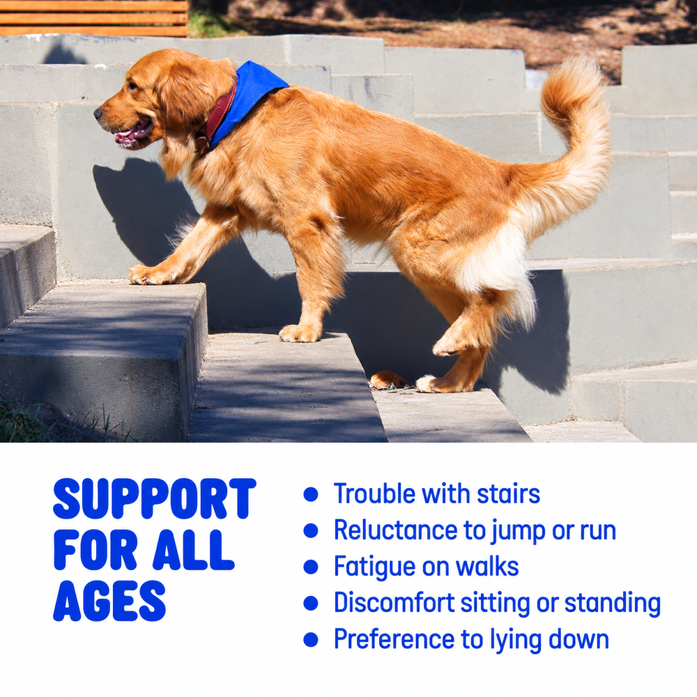 Cliply Hip & Joint Soft Chews for Dogs