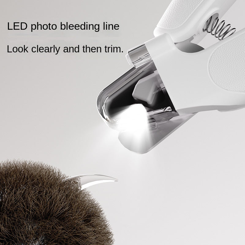LED Light