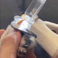 Cliply LED Pet Nail Clipper — See the Quick. Cut with Confidence.