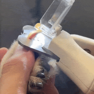 Cliply LED Pet Nail Clipper — See the Quick. Cut with Confidence.