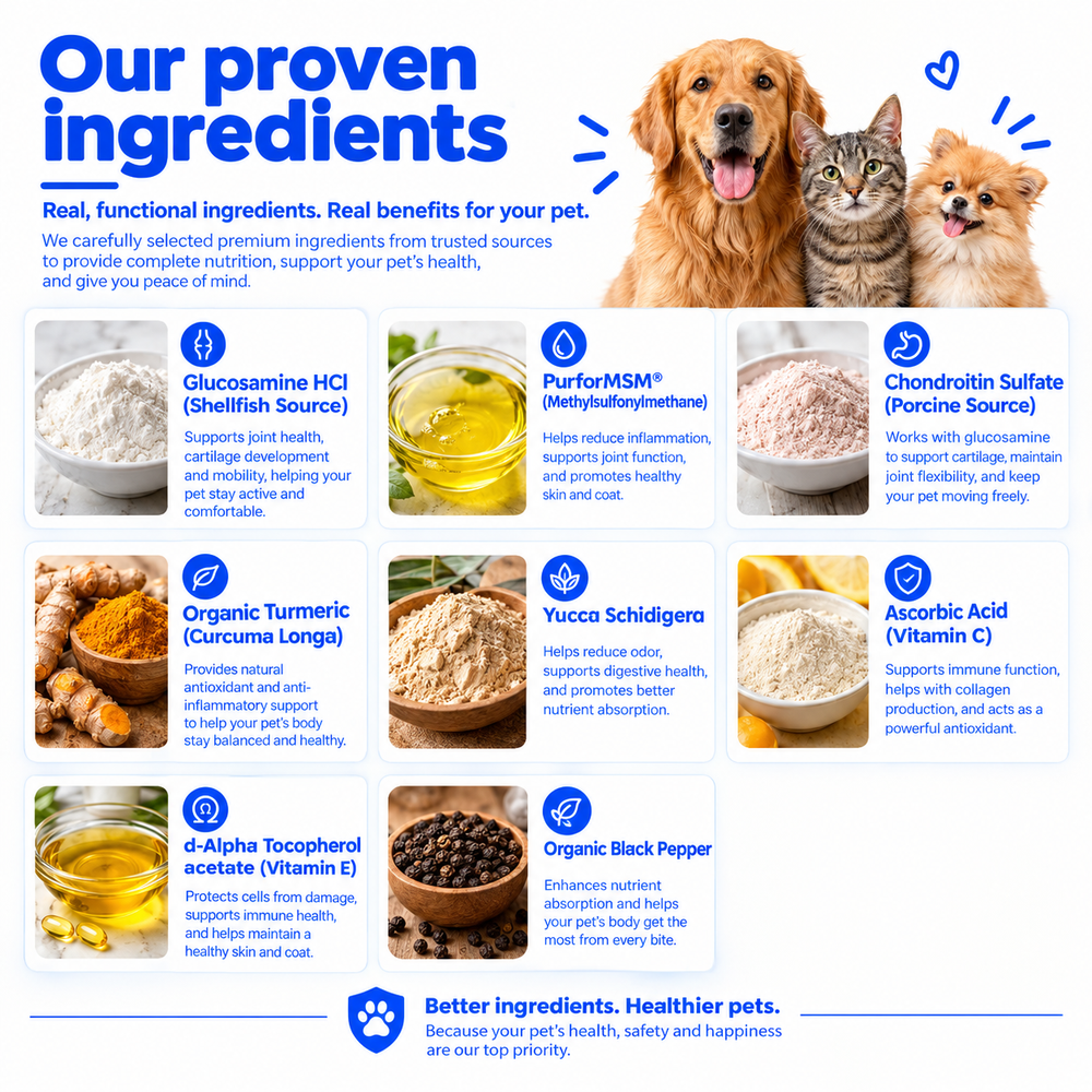 Cliply Hip & Joint Soft Chews for Dogs